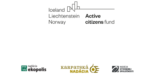 Active Citizens Fund Grant